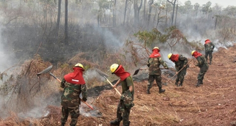 Des pompiers luttent contre des feux de forêt dans le parc national Otuquis, le 26 août 2019 en Bolivie Photo Aizar RALDES. AFP