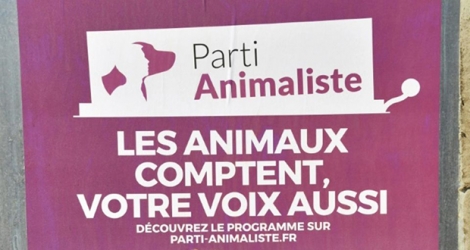 Une affiche du parti animaliste pour les élections européennes, le 15 mai 2019 à Montpellier.