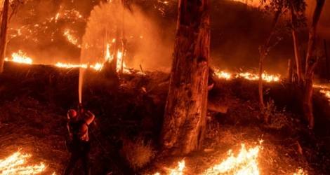 Des pompiers luttent contre le feu, le 1er novembre 2019 près de Santa Paula en Californie.