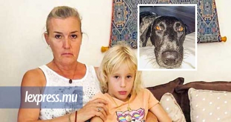 Katrin Köhler a du mal à accepter de ne pas avoir de nouvelles de son amie à quatre pattes. Lakshmi, [en médaillon] la chienne qu’elle a recueillie dans un piteux état il y a deux ans, a disparu.