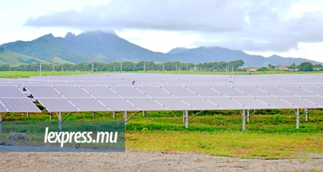 La ferme solaire Helios, appartenant à Alteo et inaugurée en mars, contribue à la production de l’énergie renouvelable.