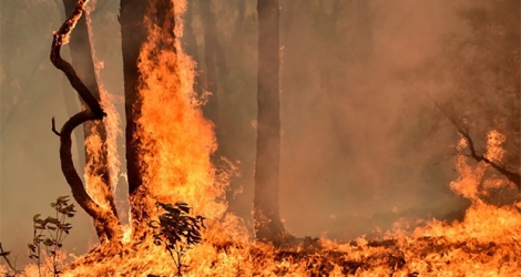 Les autorités de Melbourne, deuxième plus grande ville australienne, ont incité les habitants à s'éloigner du feu qui a déjà brûlé 40 hectares de prairies. 