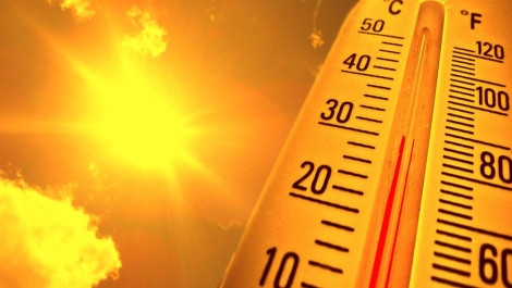 La température la plus forte enregistrée a été de 35,5° C le 10 décembre au Champs-de-Mars.