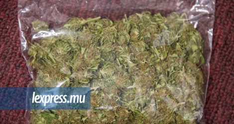 Les policiers sont tombés sur deux paquets enveloppés de plastique et de scotch contenant 1kg56 grammes, soupçonnés d’être du cannabis d’une valeur de Rs 633 600.