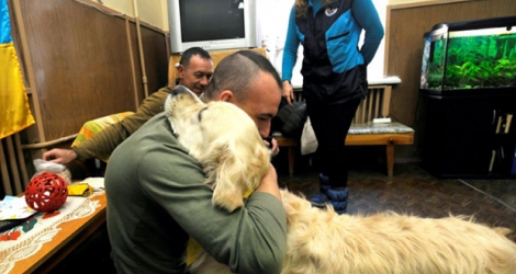 Un soldat souffrant de syndrome de stress post-traumatique embrasse un chien dans l'enceinte de l'hôpital à Kiev le 13 février 2020 dans le cadre d'un programme pour gérer les cas de SSPT.