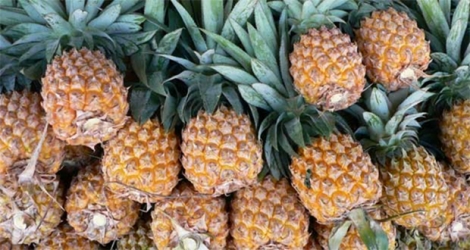 Le marchand d’ananas s’est fait prendre ses recettes du jour, jeudi 30 avril, à Lallmatie.