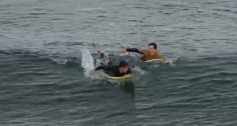 Une vidéo montre un requin à proximité de deux hommes qui nagent sur leur planche vers le rivage.