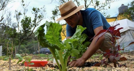 Erick Torres, éducateur pour une organisation internationale enseignant les techniques d'agriculture bio dans son potager à San Pedro Las Huertas, le 27 mai 2020 au Guatemala.