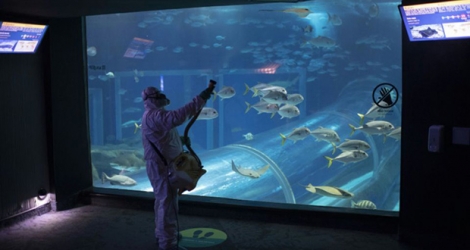 Désinfection de l'aquarium de Rio de Janeiro à la veille de sa réouverture, le 14 août 2020.