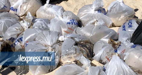 Des sacs-poubelles remplis de sable mélangé à l’huile lourde étaient disposés sur la plage publique de Blue-Bay.