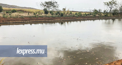Le bassin d’irrigation où l’on a repêché les corps sans vie d’Alicia, 5 ans, et de son frère Fabrice Maruano, 12 ans.