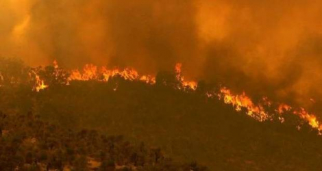 L'incendie s'étale sur 7000 hectares. © Crédit photo : TREVOR COLLENS AFP or licensors