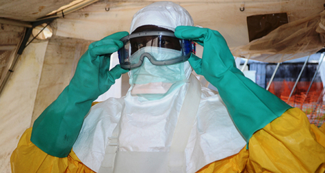 Le virus Ebola se transmet à l'homme par des animaux infectés.