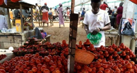 Un vendeur de tomates sur un marché de Mowe, dans l'Etat nigérian d'Ogun (Sud-Ouest), le 19 avril 2021 AFP - PIUS UTOMI EKPEI