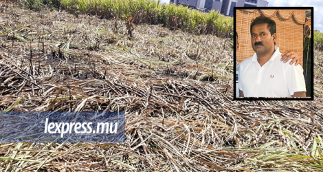 Le corps de Soopramanien Kistnen (en médaillon) a été retrouvé dans un champ de cannes à Telfair, Moka, en octobre 2020.