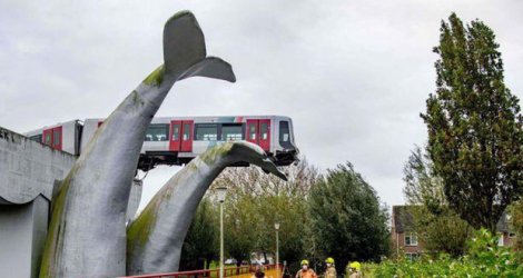 Le métro sauvé par une queue de baleine géante.  AFP