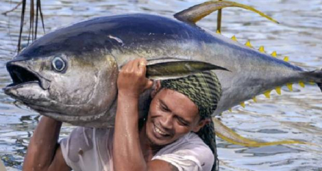 Unsustainable fishing practices threatening yellowfin tuna stocks has pit regional states against richer EU and Asian states that operate fishing fleets in the Indian Ocean.