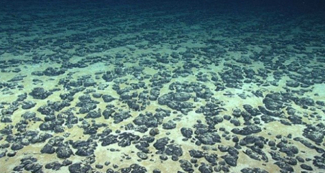Polymetallic nodules on the seafloor.