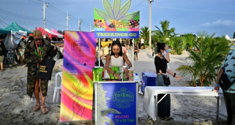 Une marchande de produits à base de cannabis lors d'un festival promouvant cette drogue désormais légale, à Nakhon Pathom, en Thaïlande, le 11 juin 2022.