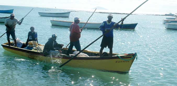 Vers la création d’un centre d’informations pour les pêcheurs «artisanaux»