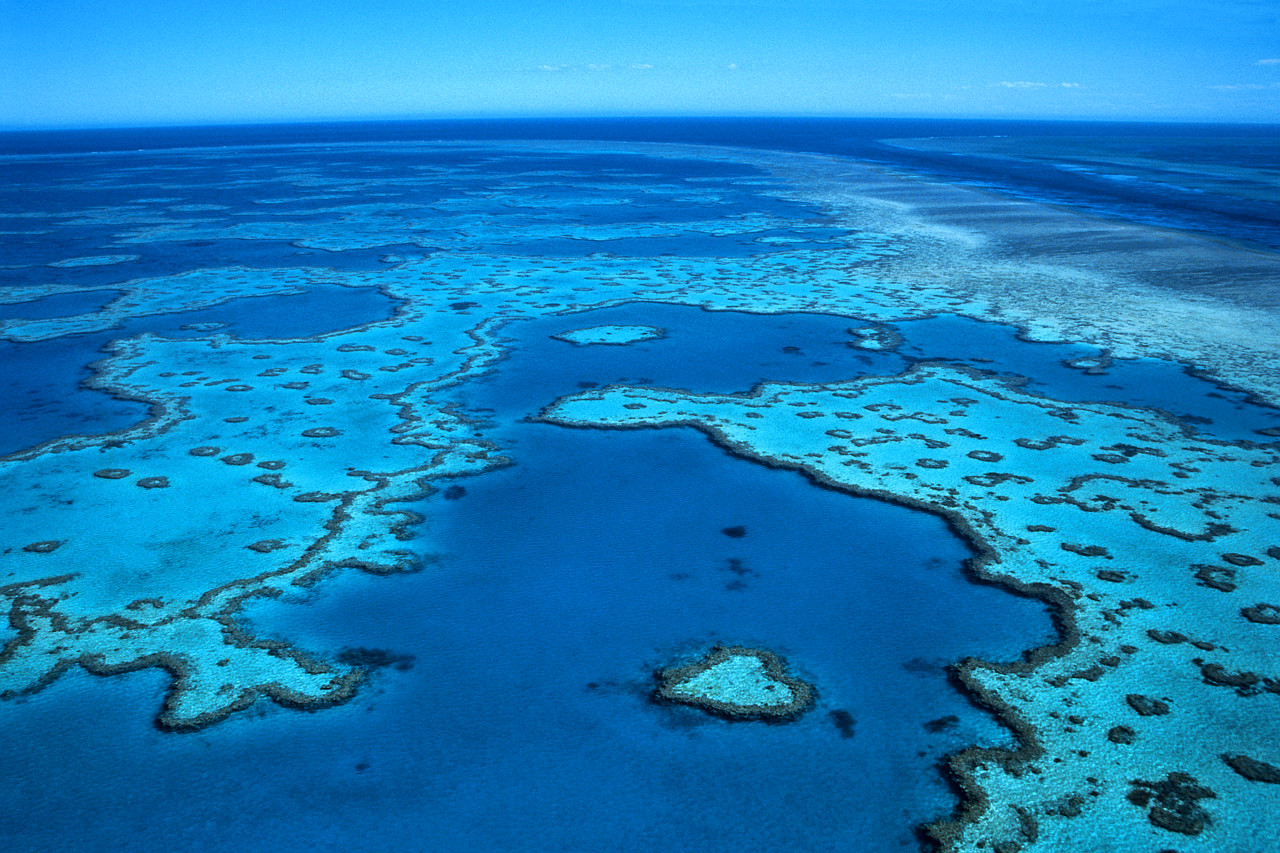Australie : La survie de la grande barrière de corail menacée