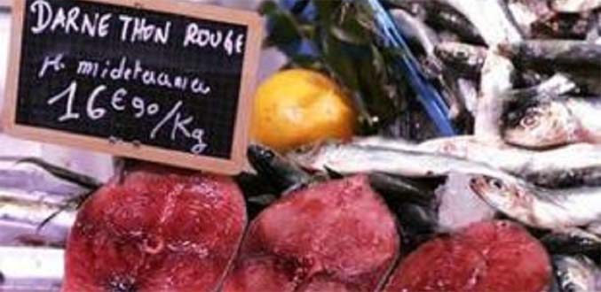 France : Campagne de Greenpeace contre le thon rouge dans les restaurants