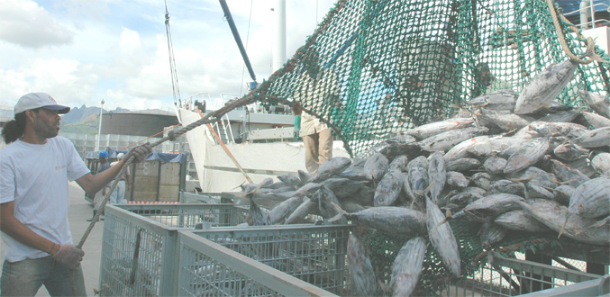 Commercialisation de poissons : Une criée sera fonctionnelle en décembre à Les Salines