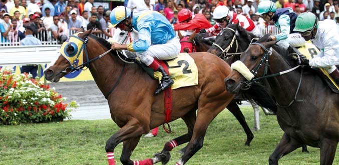 Hippisme: Cinq chevaux retirés des courses au programme du Week-End International