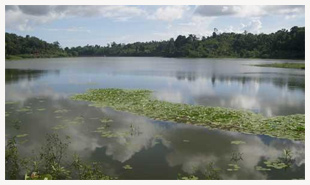 Environnement et ressources naturelles : Mayotte pourrait avoir soif