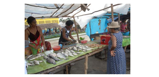 Madagascar : la pêche aux petits pélagiques sera intensifiée