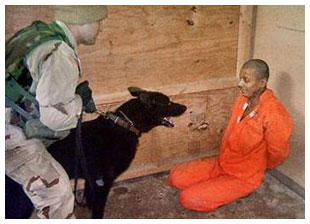 Etats-Unis et droits humaines : Révélations de Wikileaks sur la prison de Guantanamo