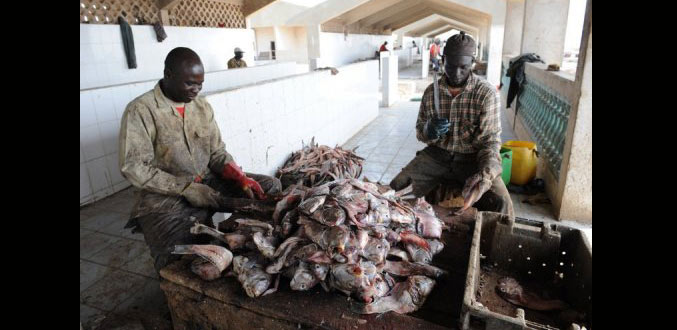 Mozambique: le gouvernement approuve une nouvelle loi sur la pêche