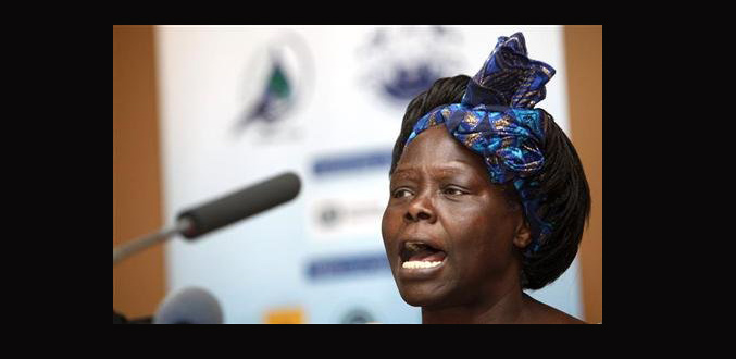 Kenya : Décès de Wangari Maathai, prix Nobel de la paix