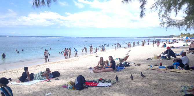 Nouvel An : Les plages publiques prises d''assaut par les pique-niqueurs