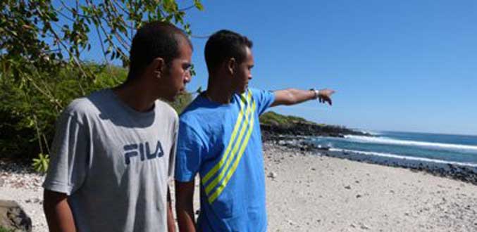Réunion : Trois alertes aux requins en trois jours