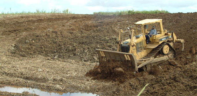 Programme pour l’efficience de l’Industrie sucrière : 5 000 hectares de terres épierrés