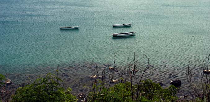 A Baie-du-Tombeau : les eaux usées de la WWMA menacent l’écosystème marin