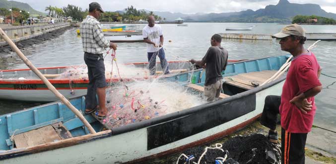 Les pêcheurs mauriciens se mobilisent pour améliorer la qualité du poisson
