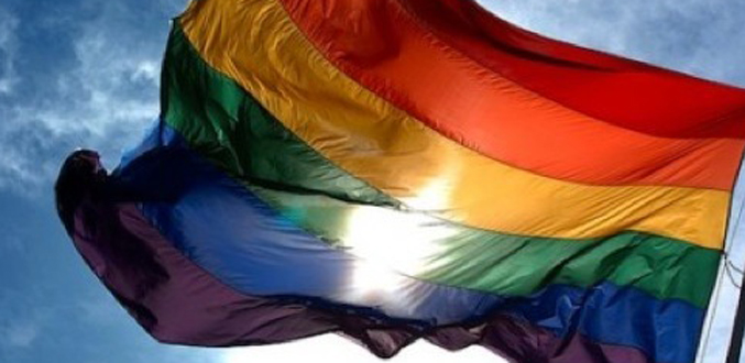 France: la loi pour le mariage et l''adoption pour les homosexuels présentée en octobre