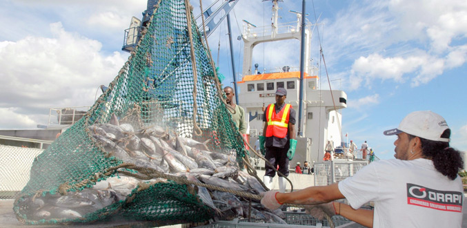 Accords de pêche avec l’Union européenne : Les militants écologistes durcissent le ton