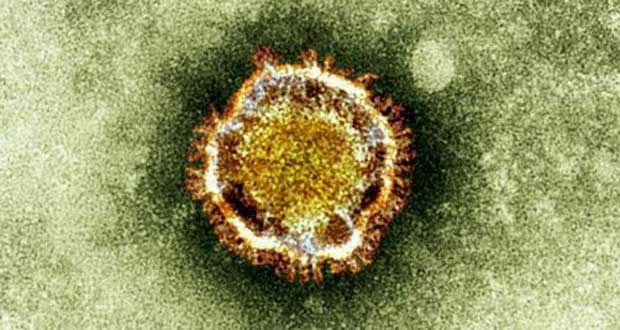 Coronavirus : deux cas suspects dans un hôpital de Tours