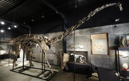 Un squelette de dinosaure adjugé pour 400 000 livres à Londres