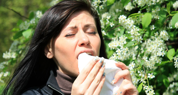 Quand l’allergie saisonnière vous mène par le bout du nez 