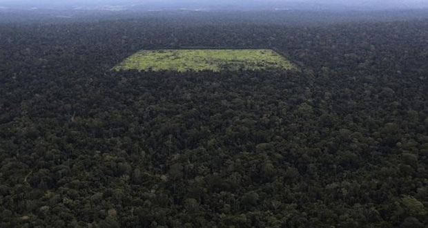 La déforestation de l'Amazonie s'est accélérée en 2013