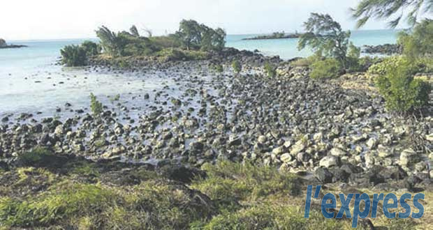 Environnement: une partie d’Anse-La-Raie transformée en zone protégée