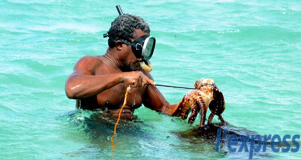 SAJ à Rodrigues : Présence incertaine à l’ouverture de la pêche à l’ourite
