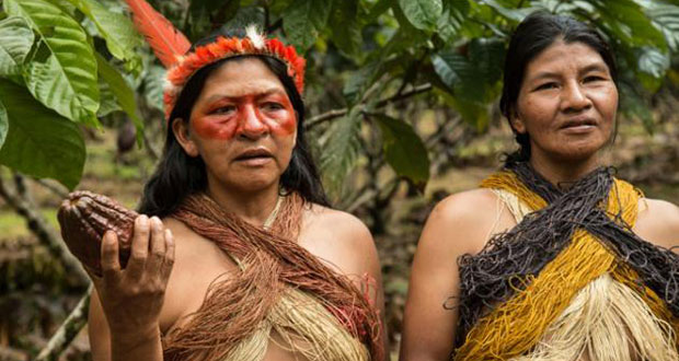 Les Indiens d'Amazonie renouvellent leurs traditions pour défendre la biodiversité
