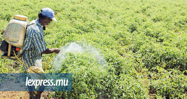 Surdosage de pesticides: l’impact sur notre santé