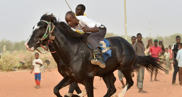 Niger: sur les traces d'un cheval légendaire sur l'hippodrome poussiéreux de Niamey