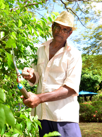 Ils ont du métier... Chandramohun Calchand, 60 ans : Un jardinier terre à terre